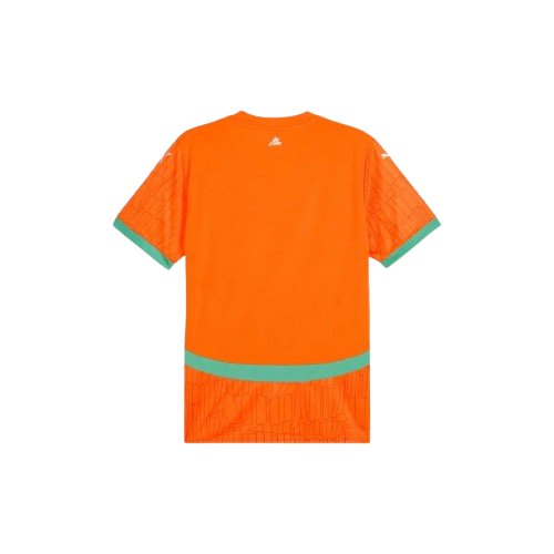Maillot Domicile Côte d’Ivoire 24/25 - Orange, Vert
