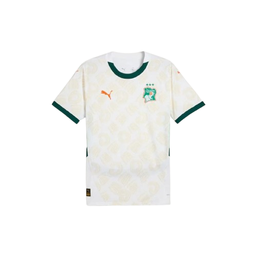 Maillot Extérieur Côte d’Ivoire 24/25 - Blanc, Vert