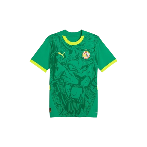 Maillot Extérieur Sénégal 24/25 - Vert, Jaune