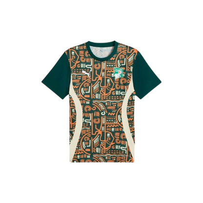 Maillot d'avant-match Côte d'Ivoire 24/25 - Orange, vert