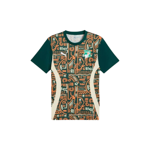 Maillot d'avant-match Côte d'Ivoire 24/25 - Orange, vert