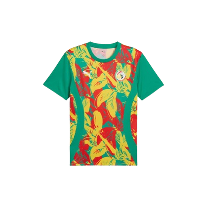 Maillot d'avant-match Sénégal 24/25 - Vert, Jaune et Rouge