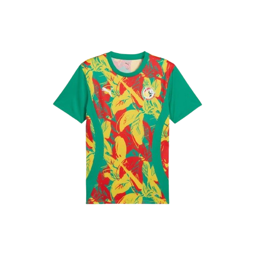 Maillot d'avant-match Sénégal 24/25 - Vert, Jaune et Rouge