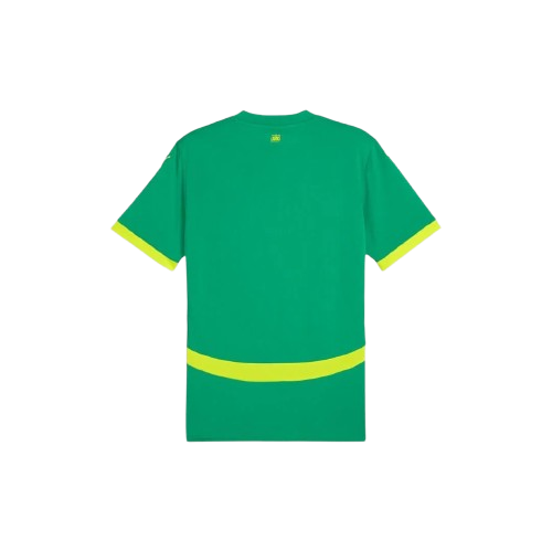 Maillot Extérieur Sénégal 24/25 - Vert, Jaune