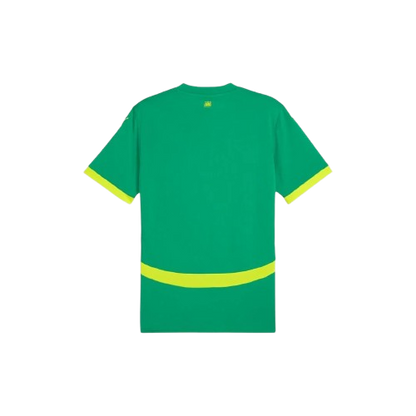 Maillot Extérieur Sénégal 24/25 - Vert, Jaune