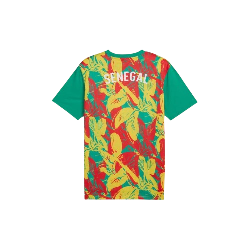Maillot d'avant-match Sénégal 24/25 - Vert, Jaune et Rouge