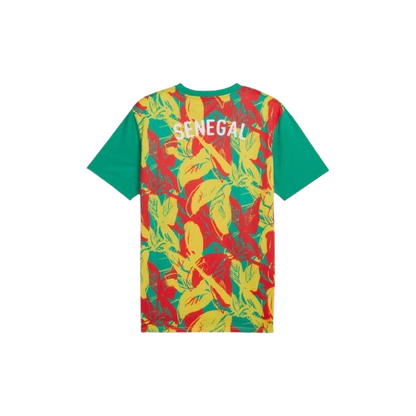 Maillot d'avant-match Sénégal 24/25 - Vert, Jaune et Rouge