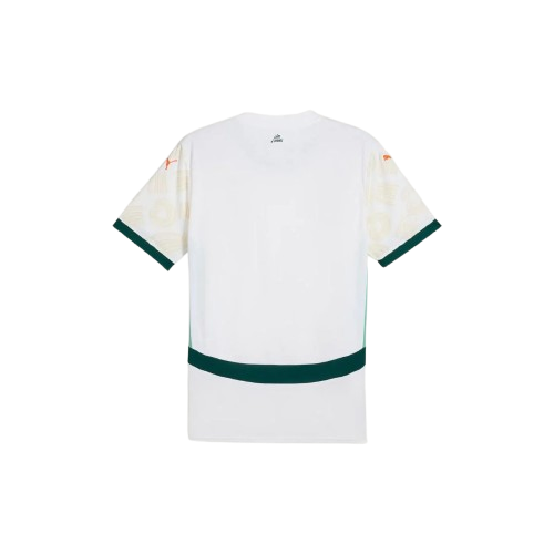 Maillot Extérieur Côte d’Ivoire 24/25 - Blanc, Vert
