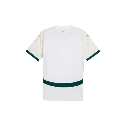 Maillot Extérieur Côte d’Ivoire 24/25 - Blanc, Vert