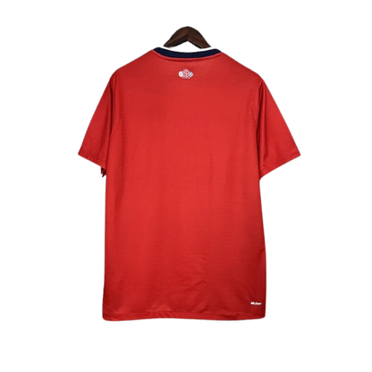 Maillot Domicile LOSC Lille 24/25 - Rouge