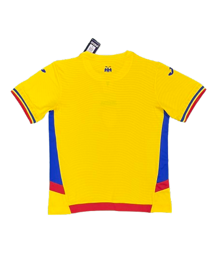 Maillot domicile Roumanie 24/25 - Floczone